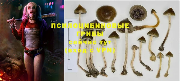бутик Богородск