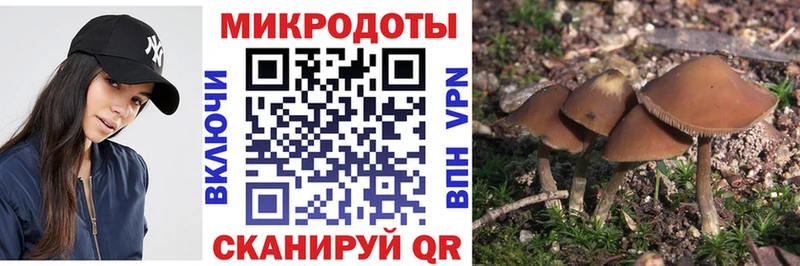 как найти закладки  Первоуральск  Псилоцибиновые грибы MAGIC MUSHROOMS 